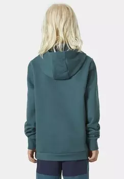 Свитер с капюшоном LOGO Helly Hansen, светло-зеленый