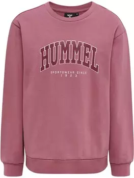 Свитер с капюшоном на молнии Hummel Athletic Sweatshirt, розовый
