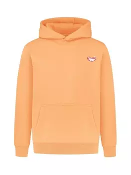 Свитер с капюшоном на молнии Smilodox Athletic Sweatshirt Riva, коричневый