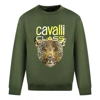 Свитер с леопардовым принтом и логотипом Cavalli class Roberto Cavalli, зеленый