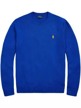 Свитер с логотипом Polo Pony Polo Ralph Lauren, синий