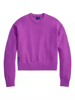 Свитер с вышивкой Polo Pony POLO RALPH LAUREN, фиолетовый