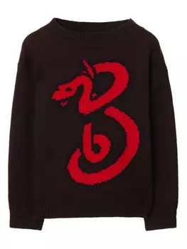 Свитер Snake Burberry Kids, коричневый