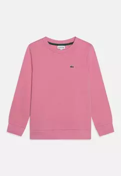 Свитер Unisex Lacoste, резеда розовый