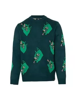 Свитер Volcom Sweater FA NANDO VON ARB SWTR, зеленый