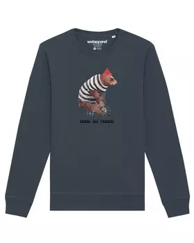 Свитер Watapparel Sweatshirt Tour de Franz, антрацит