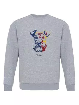 Свитер Williot Sweatshirt, серый