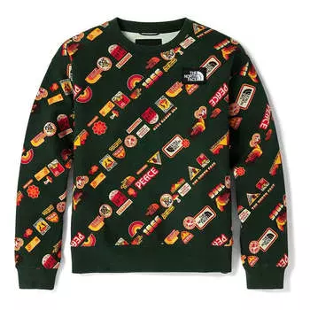 Свитер (WMNS) THE NORTH FACE Vanlife Logo Sweater 'Multicolor', разноцветный