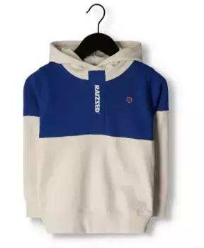 Свитер Жилет Waldron Raizzed, серый