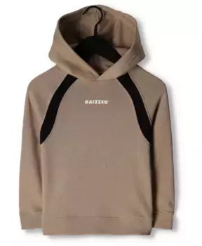 Свитер жилетки виллистон Raizzed, коричневый