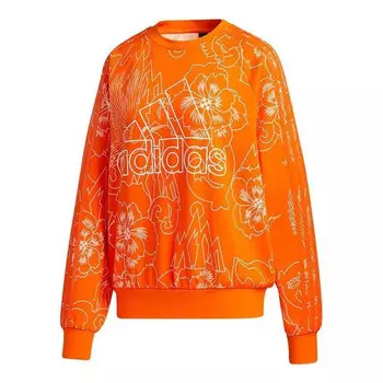 Свитера aop свитера Adidas, оранжевый