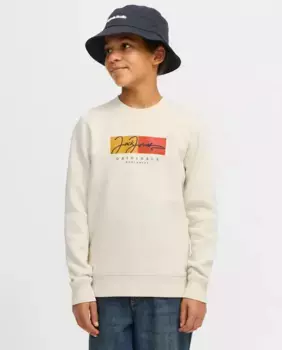 Свитшот без капюшона для мальчика с принтом спереди Jack & Jones, бежевый