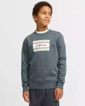 Свитшот без капюшона для мальчика с принтом спереди Jack & Jones, серый