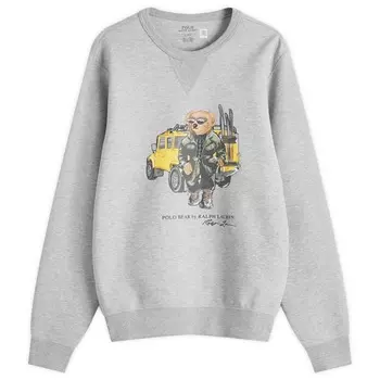 Свитшот Defender bear Polo Ralph Lauren, цвет cr24 andover htr defender bear