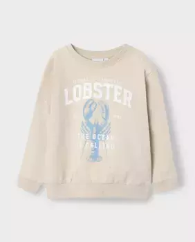 Свитшот для мальчика name it, бежевый