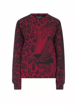 Свитшот Hot Animalier Dolce&Gabbana