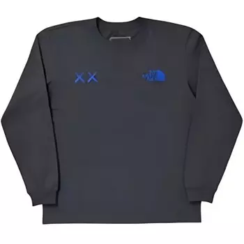Свитшот Kaws X KAWS Joint Collection для мужчин, темно-серый The North Face, темно-серый