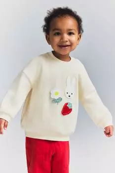 Свитшот с аппликацией H&M, мультиколор
