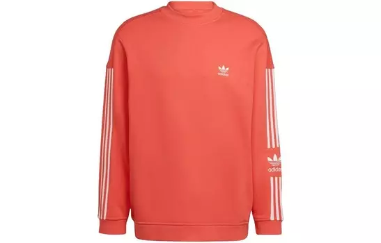 Свитшот унисекс оранжевый Adidas Originals, оранжевый