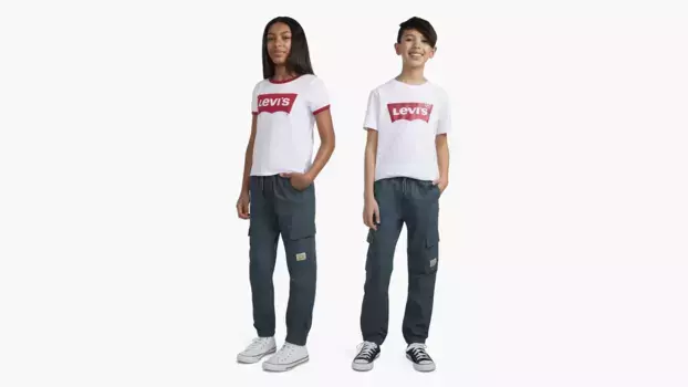 Свободные брюки-карго для бега для больших мальчиков 8–20 лет Levi's, цвет Dark Slate