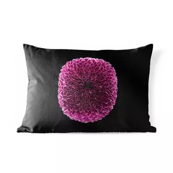 [T] Подушка для улицы MuchoWow - Сферический фиолетовый цветок хризантемы на черном фоне - 60x40 см - Устойчивость к атмосферным воздействиям - Подушки для отдыха - Чехлы для подушек - Декоративные чехлы для подушек - Декоративные чехлы для поду...