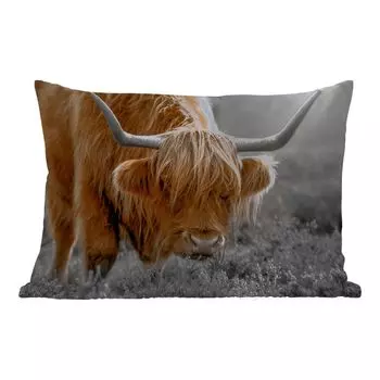 [T] Подушка для улицы MuchoWow - Шотландский горец - Животные - Коричневый - Корова - Черный - Белый - Натуральный - 60x40 см - Устойчивость к атмосферным воздействиям - Подушка для отдыха - Чехлы для подушек - Декоративные чехлы для подушек - Д...