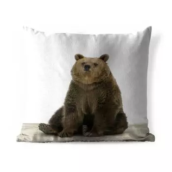 [T] Уличная подушка MuchoWow - Бурый медведь - Животные - Медведь - Симпатичные - Мальчики - Девочки - 60x60 см - Устойчивость к атмосферным воздействиям - Подушки для отдыха - Чехлы для подушек - Декоративные чехлы для подушек - Декоративные че...