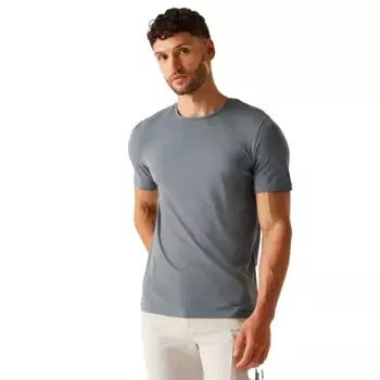 Tait Regatta Мужская футболка, серый/синий