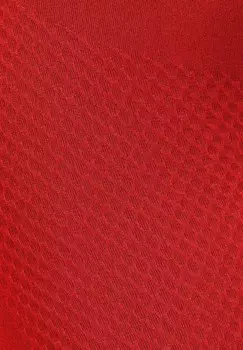 Тайтсы AMAZE SCRUNCH Smilodox, красный