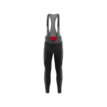 Тайтсы Loeffler AB Gel bib, черный