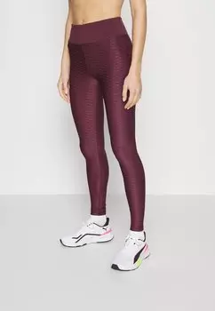 Тайтсы ONLY Play