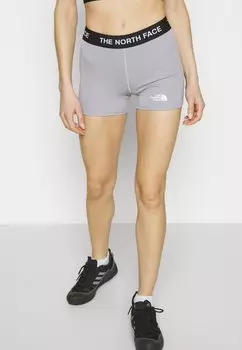 Тайтсы The North Face