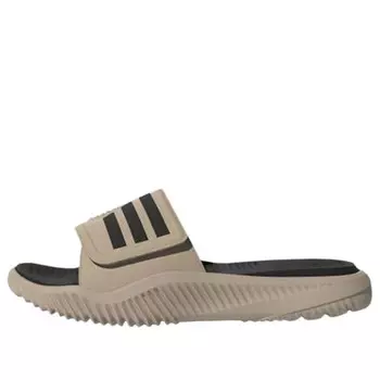 Тапочки альфабаунс слайд 2.0 Adidas, бежевый