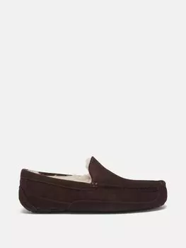 Тапочки ascot из овчины UGG, темно коричневый