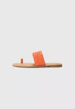 Тапочки BEACHWALK ALDO, красный