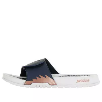 Тапочки hydro 5 retro slide 'obsidian metallic red bronze' Air Jordan, синий