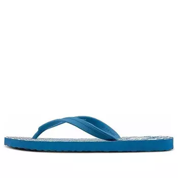 Тапочки makena white blue grid 'blue white' Vans, синий