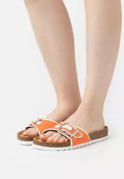 Тапочки Mules Gabor, коричневый