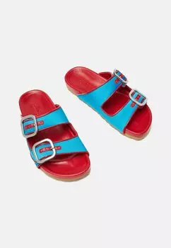 Тапочки Scarosso, синий