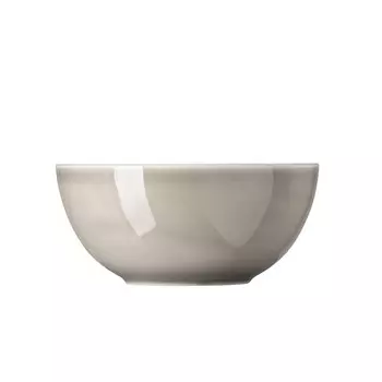 Тарелка Daily Moon Grey 24 см Thomas, серый