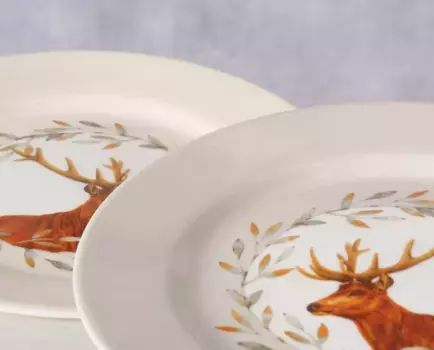 Тарелки Boltze, белый