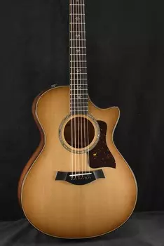 Taylor 512ce Urban Ironbark/Torrified Sitka Spruce Shaded Edge Burst