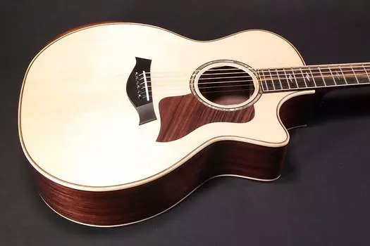 Taylor 814ce V Grand Auditorium с кейсом - 039