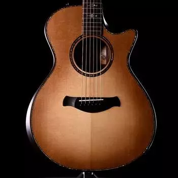 Taylor 912ce Builder's Edition - Взрыв дикого меда