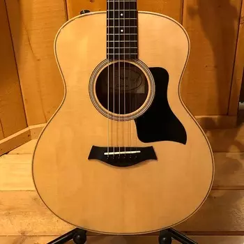 Taylor GS Mini-E Rosewood Plus GSMINIERSPLUS