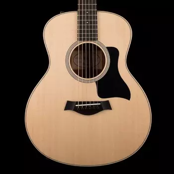 Taylor GS Mini-e Rosewood Plus с корпусом AeroCase