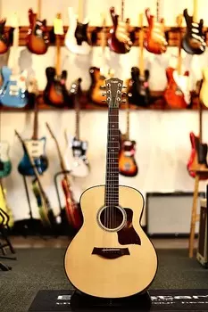 Taylor GT Urban Ash - Натуральный
