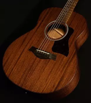 Taylor Guitars Wildwood and Steel GTe Mahogany