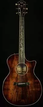 Taylor Guitars Wildwood-Exclusive K24ce DLX - отобранная вручную древесина