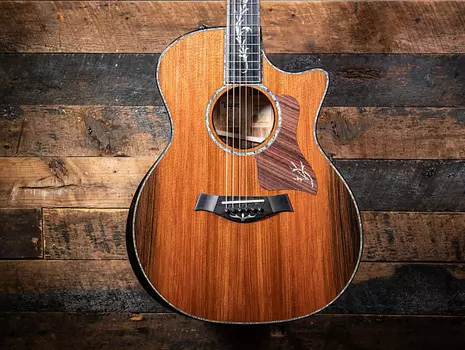 Taylor PS14ce из гондурасского палисандра с грузилом из красного дерева